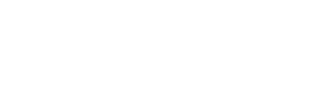 logo camila